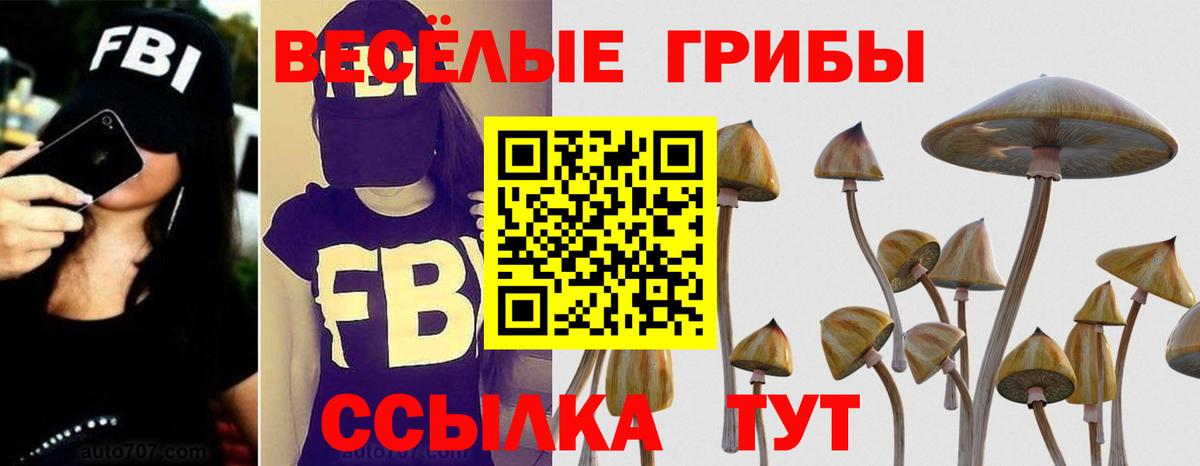 Мелеуз  наркошоп  Псилоцибиновые грибы ЛСД  Вход с VPN  Псилоцибиновые грибы ЛСД 