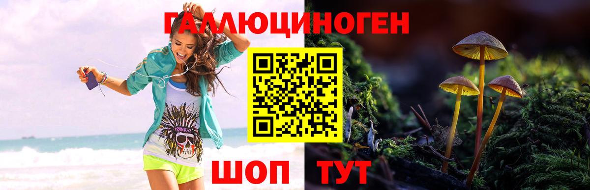 Галлюциногенные грибы мицелий Мелеуз
